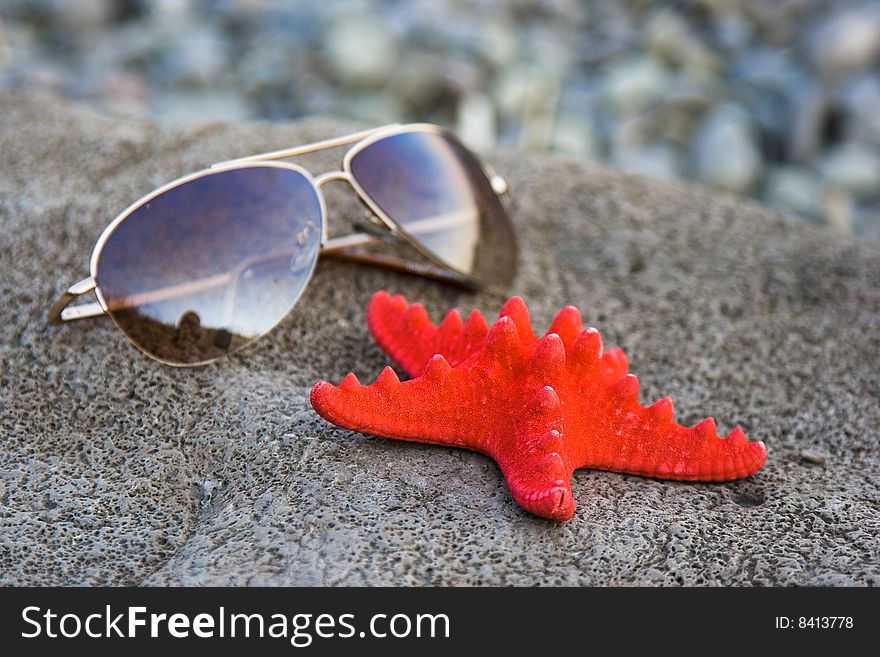 Starfish and glasses in the sea-shore