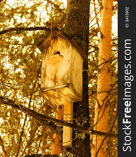 Small house and feeding trough for birds in park. Small house and feeding trough for birds in park