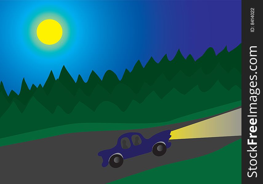 A night tour of the forest road. Vector illustration