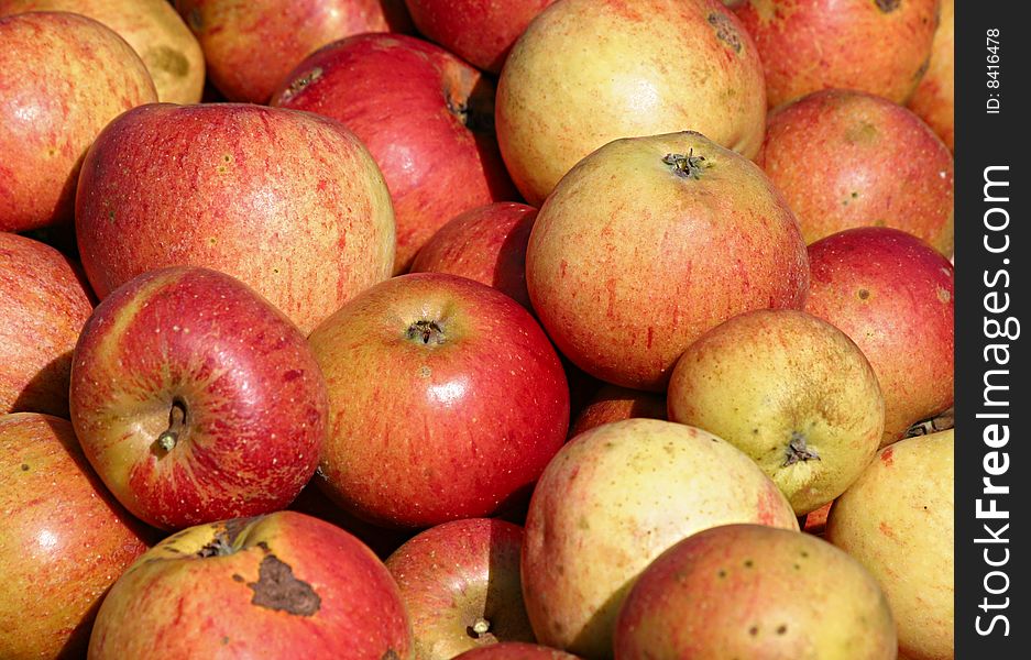 Red Apples Close Up