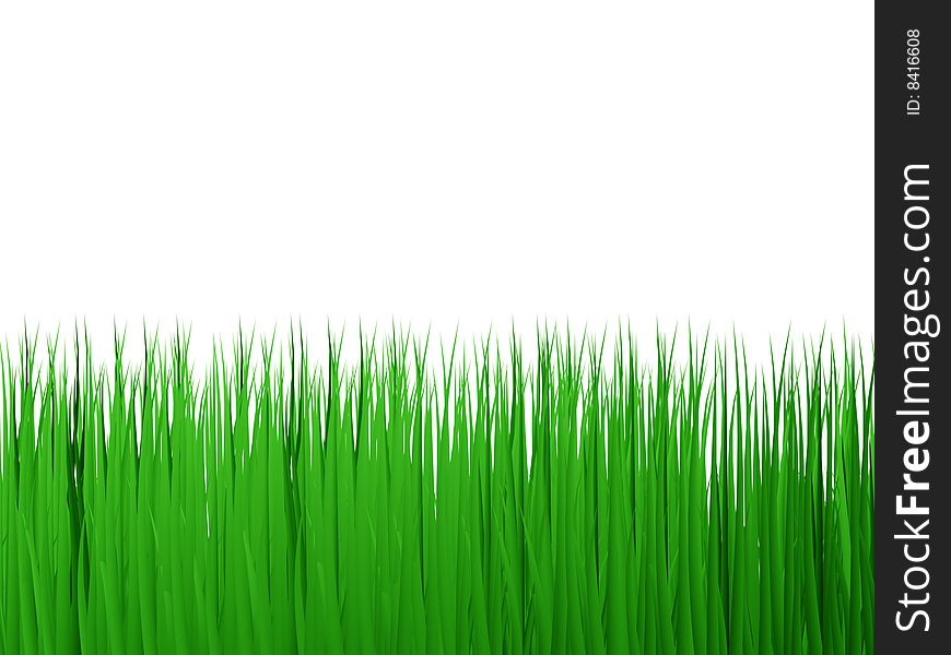 3d green grass on white background