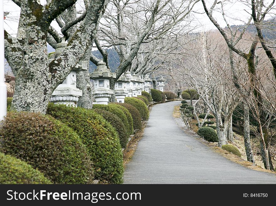 The alley of a park in japan.