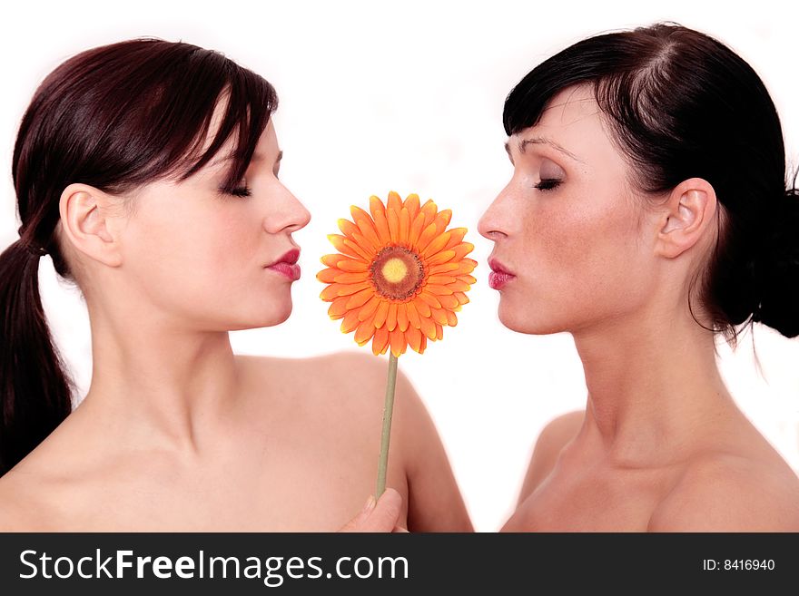 Two girls kissing a flower. Two girls kissing a flower