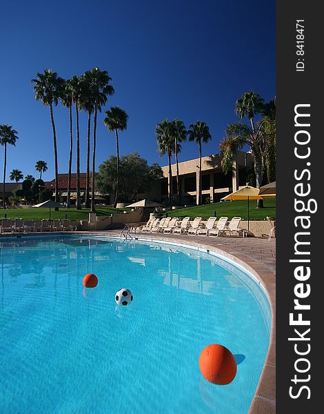 Azure blue swimming pool with palm trees