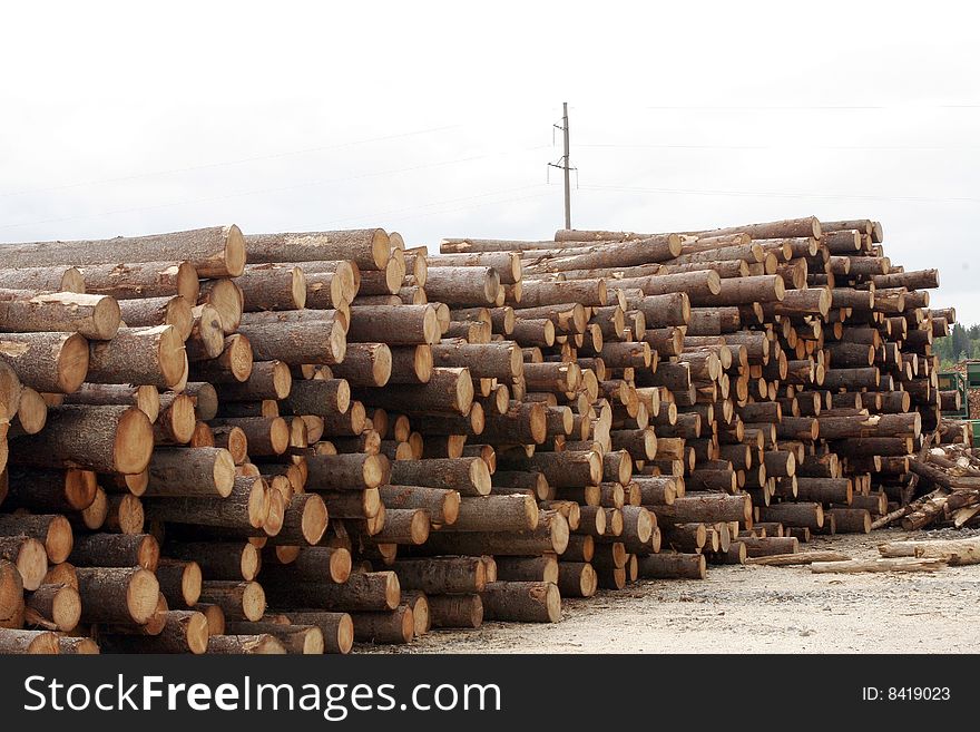 Logs on an export. Commercial timber