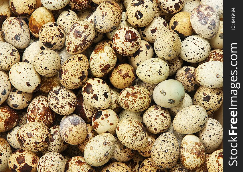 Background of quail eggs. Quail eggs are small and with dark spots