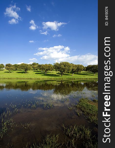 Spring landscape - beautiful lake and green field