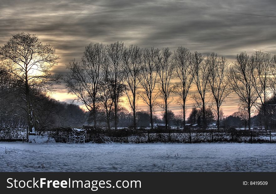 Sunset behind trees in winter scenery. Sunset behind trees in winter scenery