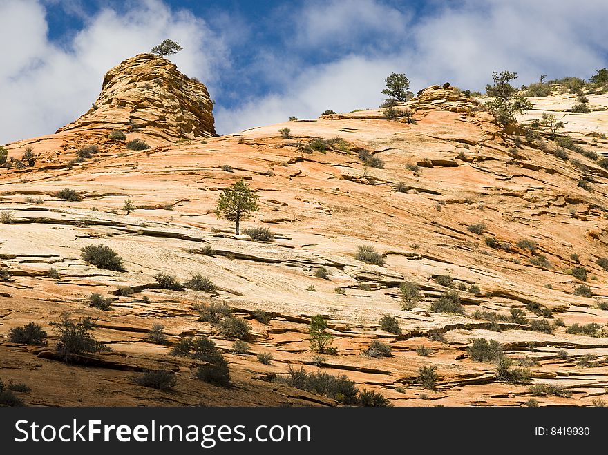 View of sandstone landscape in Zion National Park