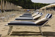 Beach Chairs Lined Up Stock Photo Beach Chairs Lined Up Stock Photo