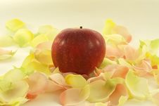 Apple With Aromatic Rose Leave Stock Photos Apple With Aromatic Rose Leave Stock Photos