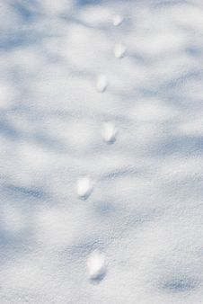 Footprints Royalty Free Stock Photo Footprints Royalty Free Stock Photo