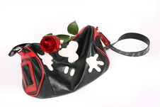 Fashionable Handbag Stock Image Fashionable Handbag Stock Image