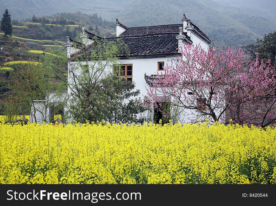 This is a chinese village.