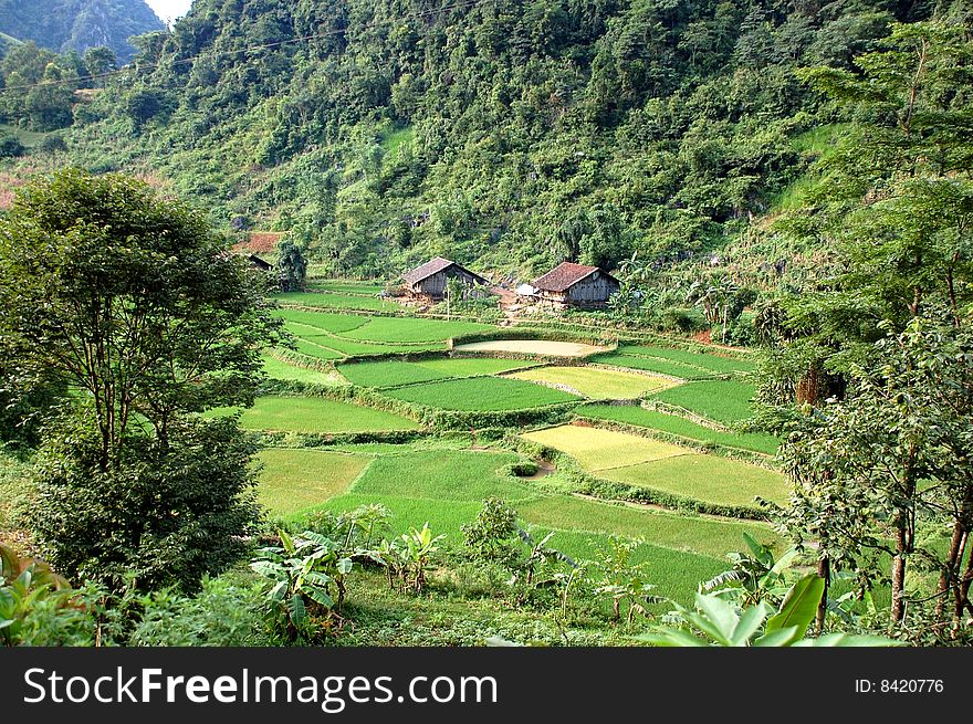 Valley Landscape In Vietnam