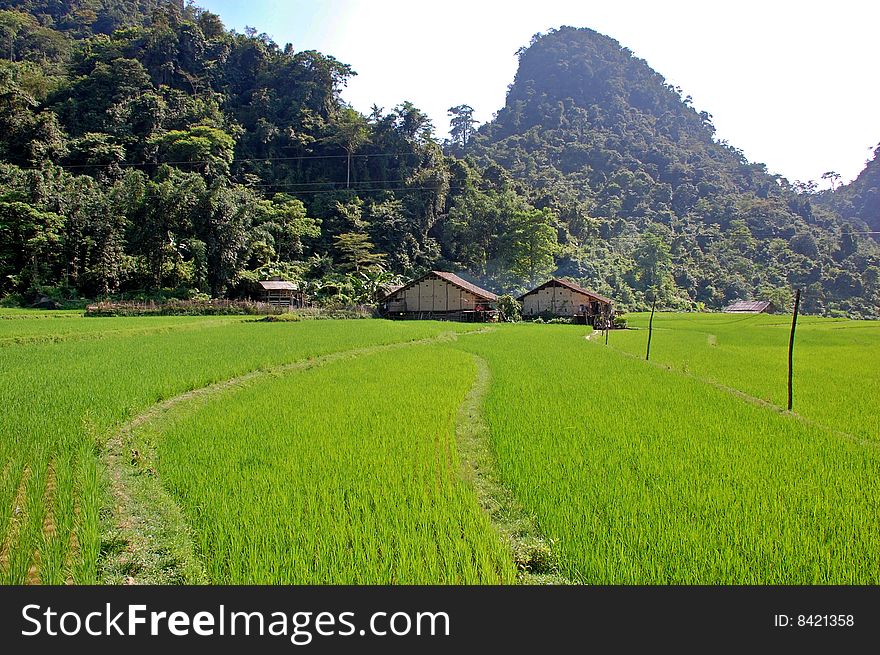 Village in the mountain