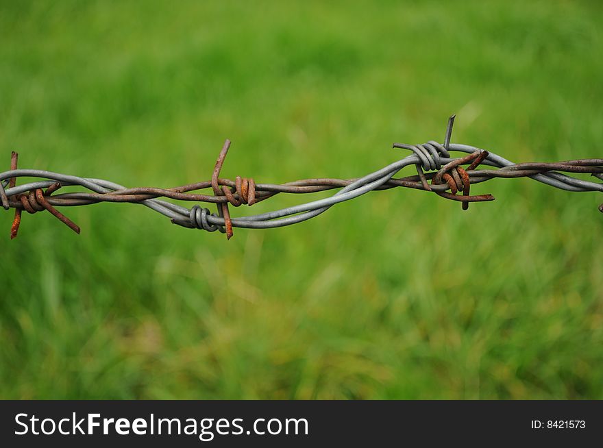 A barb wire fence at an alpine meadow. A barb wire fence at an alpine meadow.