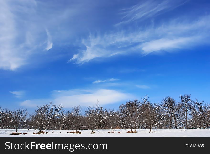 Winter landscape with beautiful clouds