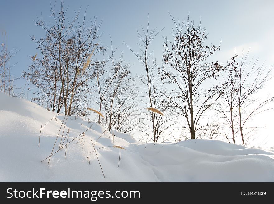 Winter landscape with beautiful clouds