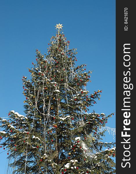 Christmas Tree With Golden Star
