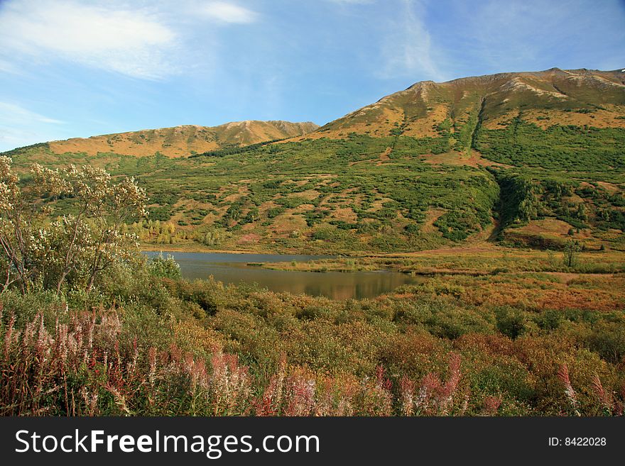 Mountain and surrounding area in Denali Park, Alaska. Mountain and surrounding area in Denali Park, Alaska