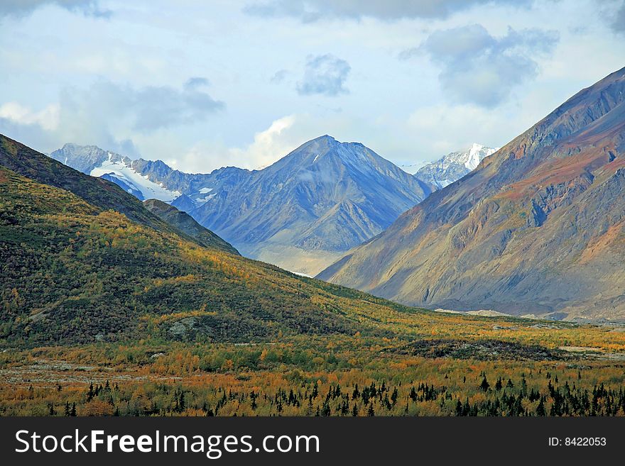Alaskan Vista