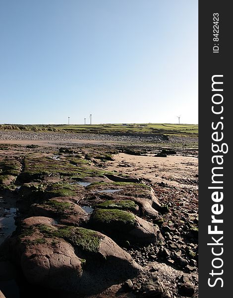 Sea weed covered rocks on beale beach co kerry ireland on a cold winters morning with turbines in the background. Sea weed covered rocks on beale beach co kerry ireland on a cold winters morning with turbines in the background