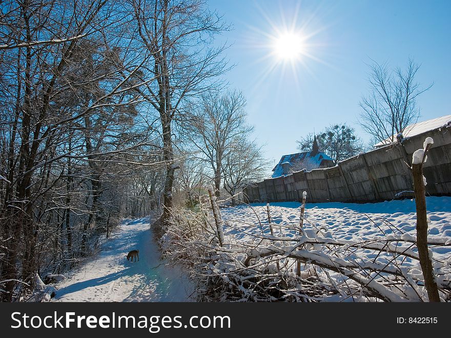 Winter sunny country landscape. Snow on the branches. Winter sunny country landscape. Snow on the branches