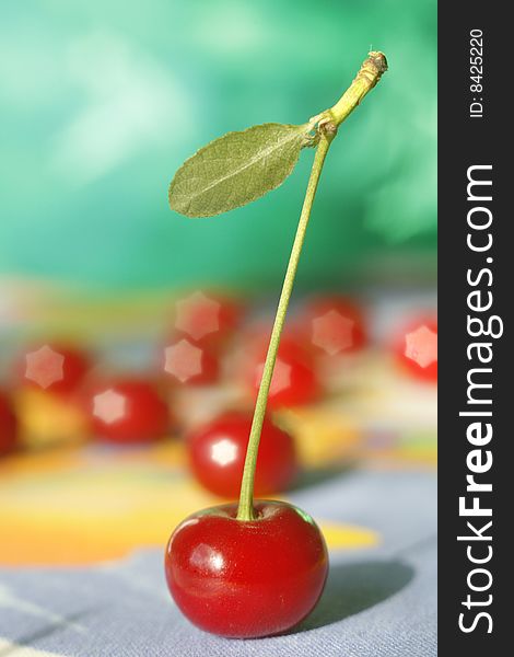 Fresh cherryRed cherry on a green branch