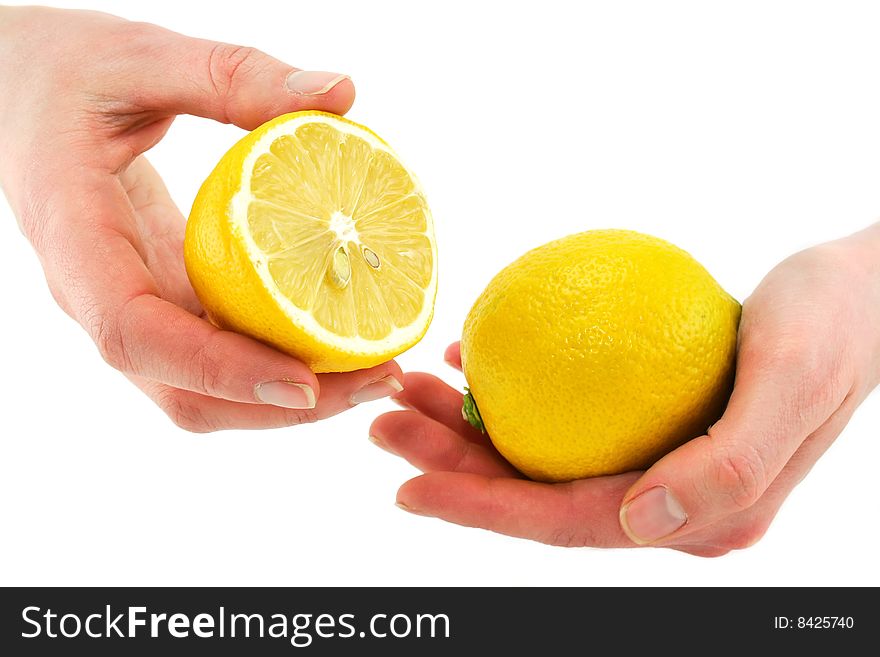 Woman's hands holding citrus fruits (lemon) isolated on a white background