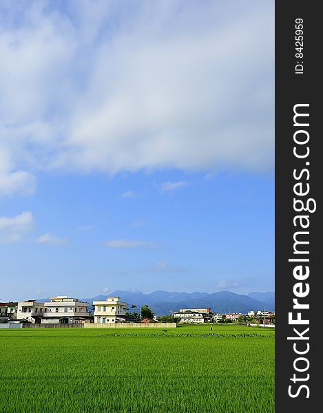 Blue Sky and Green Grassland. Blue Sky and Green Grassland