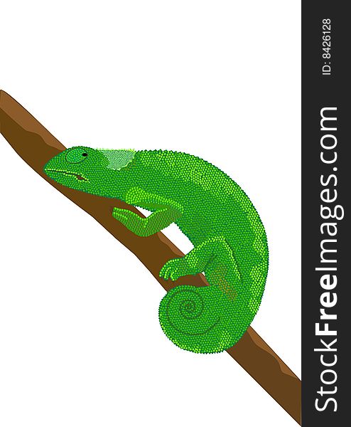 Green chameleon on branch , vector