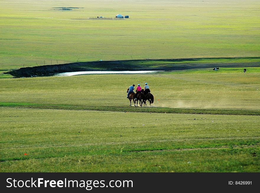 Beautiful vast prairie Baiyun were blossoming