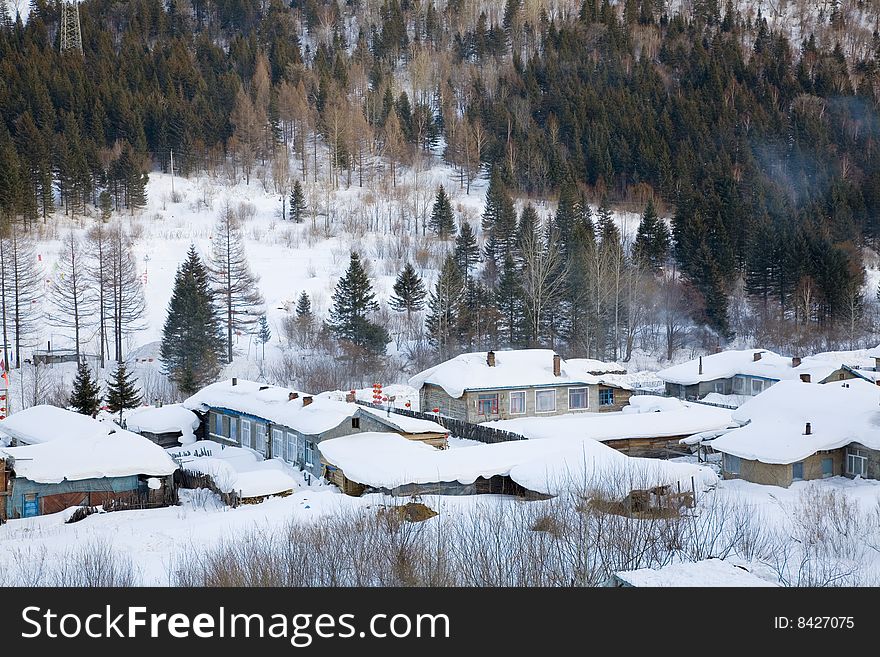 houses covered in snow in winter