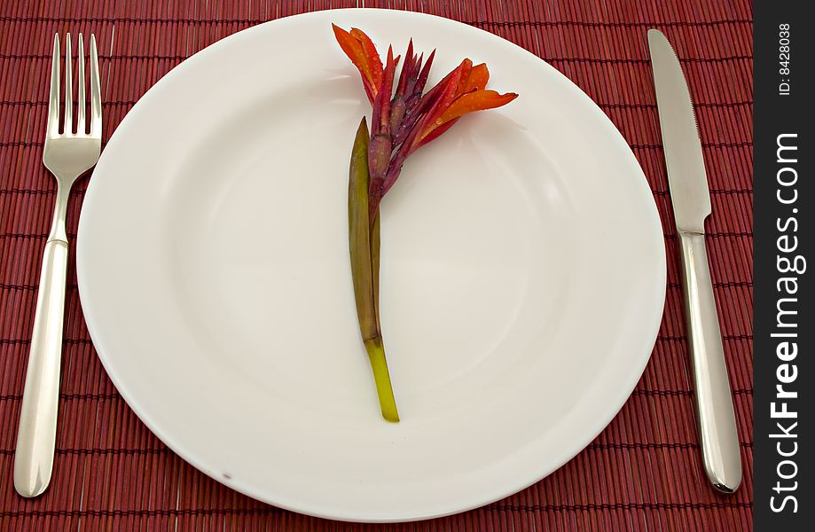 Plate on which lies a red flower, a plug and a knife. Plate on which lies a red flower, a plug and a knife