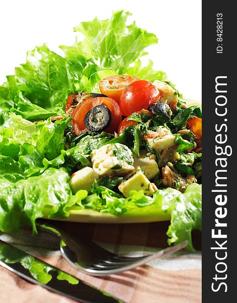 Healthy Vegetable Salad Served on Fresh Salad Leaves
