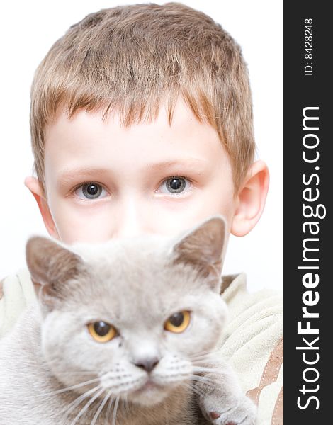 The little  boy with grey cat. The little  boy with grey cat