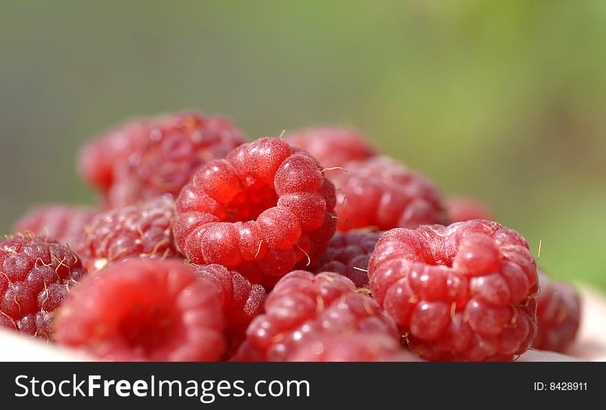 Closeup of raspberries, fresh summer berries