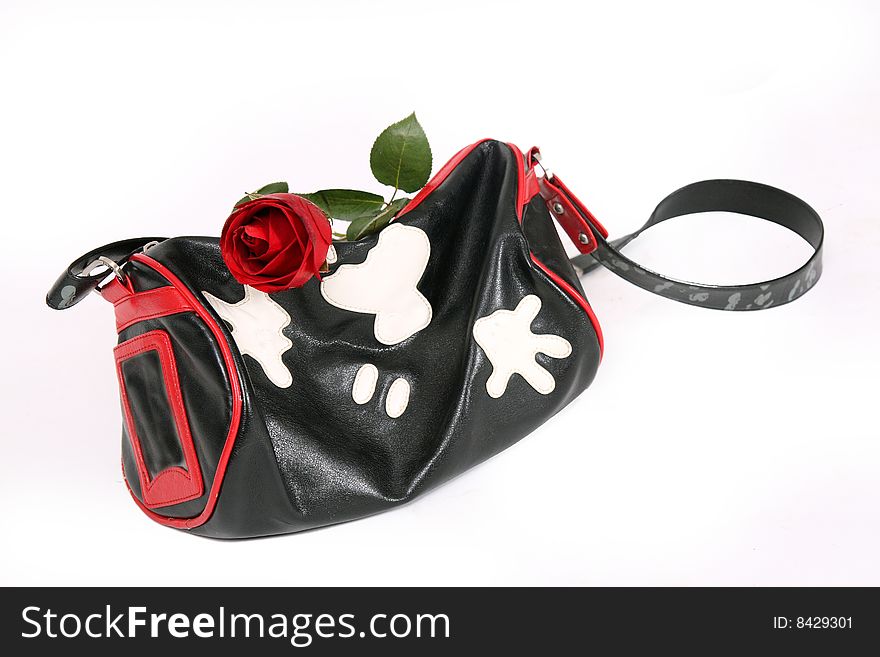 Fashionable handbag