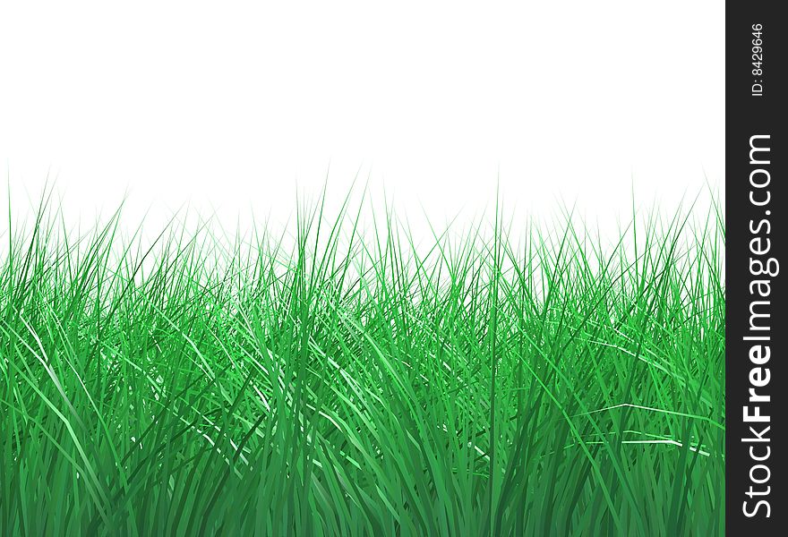 Rendered Grass Isolated On White