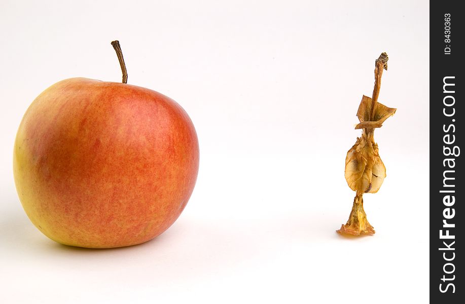 Isolated apple core on white