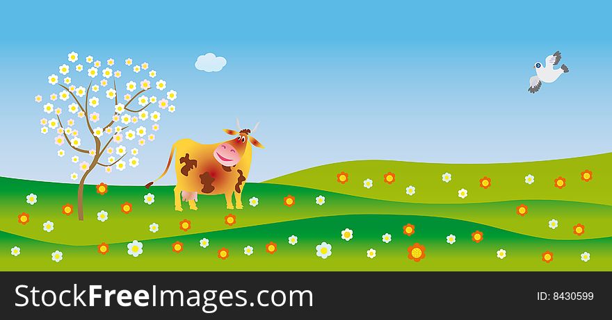 The surprised cow looks at a flowering apple-tree. The surprised cow looks at a flowering apple-tree