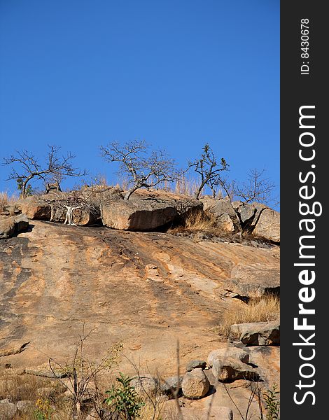 A hilltop with rocks and trees against clear blue sky. A hilltop with rocks and trees against clear blue sky