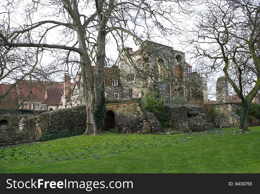 Ancient ruins with wall and trees