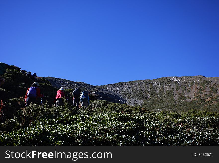 Trekking