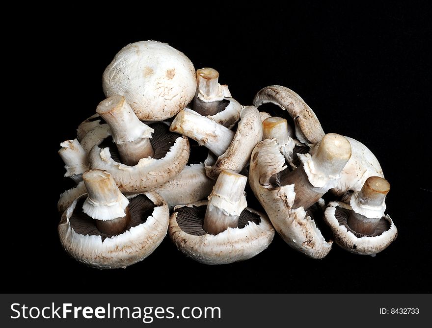 A pile of mushrooms for cooking