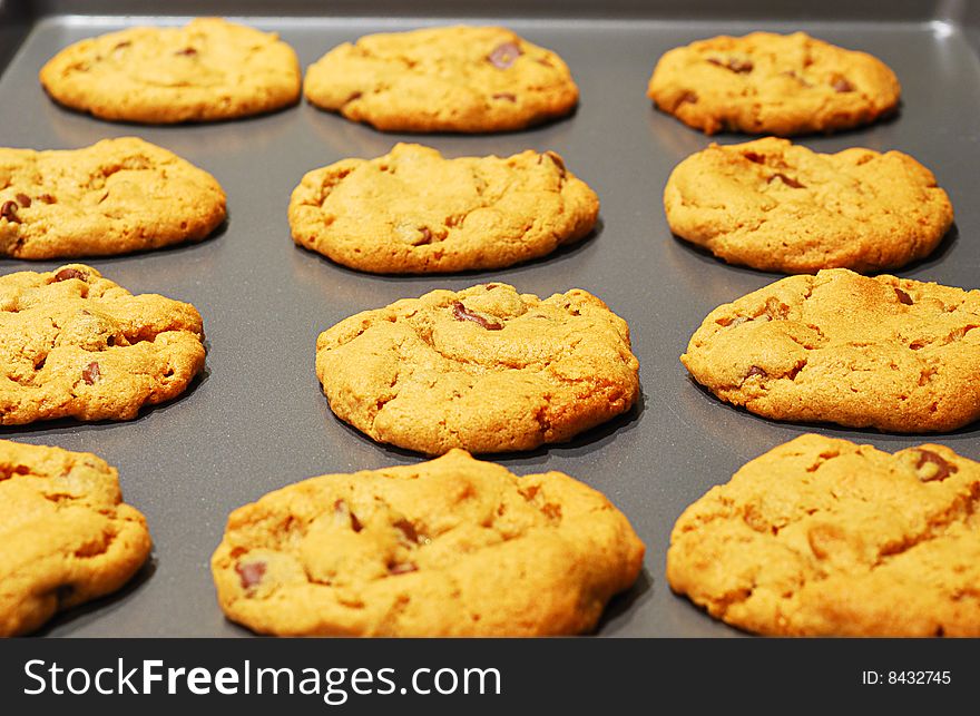 A fresh sheet of delicious chocolate chip cookies. A fresh sheet of delicious chocolate chip cookies.