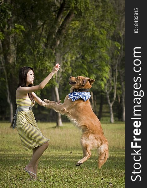 Girl playing with dog outdoor. Girl playing with dog outdoor