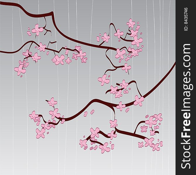 This is a  illustration of cherry blossoms. This is a  illustration of cherry blossoms