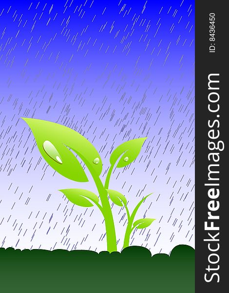 Plant in the rain, vector illustration